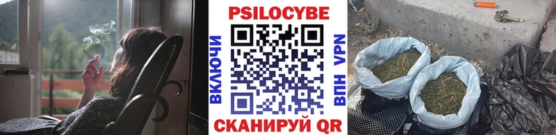 Псилоцибиновые грибы GOLDEN TEACHER  купить наркотик  Правдинск 